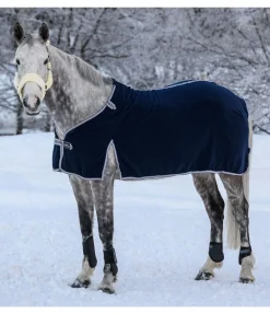 Liner polaire pour couverture à combiner Janice