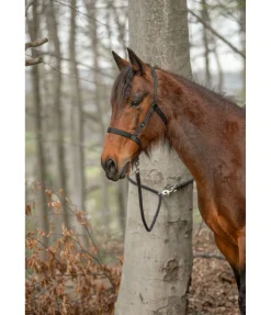 Longe de randonnée 2 en1 Pinewood