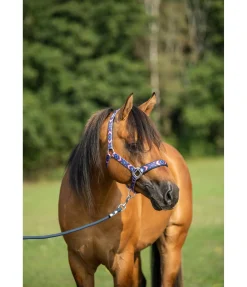 Longe de travail au sol Barrie