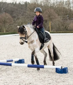 Lot de 6 mini-blocs pour cavalettis