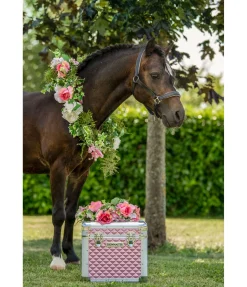 Malette Alu Case Colour