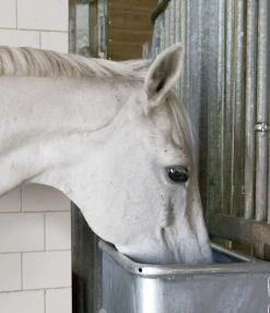 Mangeoire rectangulaire