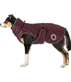 Manteau avec doublure en polaire Teddy pour chien Archie, 160 g