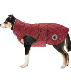 Manteau avec doublure en polaire Teddy pour chien Archie, 160 g