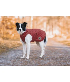 Manteau avec doublure en polaire Teddy pour chien Archie, 160 g