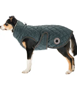 Manteau avec doublure en polaire Teddy pour chien Archie, 160 g
