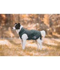 Manteau avec doublure en polaire Teddy pour chien Archie, 160 g