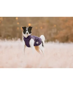 Manteau avec doublure en polaire Teddy pour chien Archie, 160 g