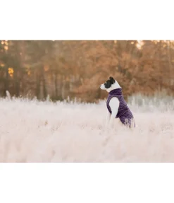 Manteau avec doublure en polaire Teddy pour chien Archie, 160 g