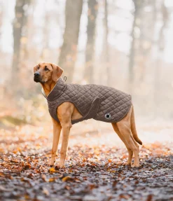 Manteau avec doublure en polaire Teddy pour chien Archie, 160 g
