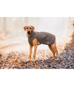 Manteau avec doublure en polaire Teddy pour chien Archie, 160 g