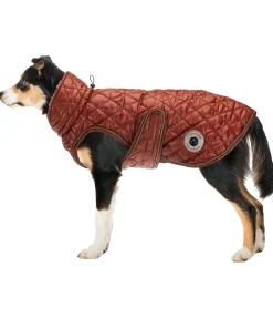 Manteau avec doublure en polaire Teddy pour chien Archie, 160 g