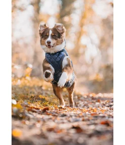 Manteau avec doublure en polaire Teddy pour chien Archie, 160 g