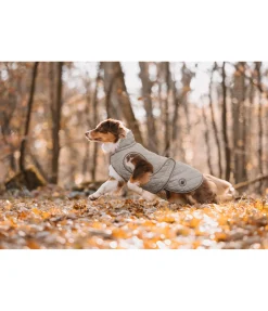 Manteau avec doublure en polaire Teddy pour chien Archie, 160 g