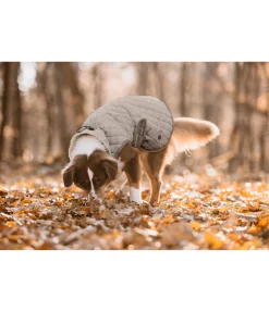 Manteau avec doublure en polaire Teddy pour chien Archie, 160 g