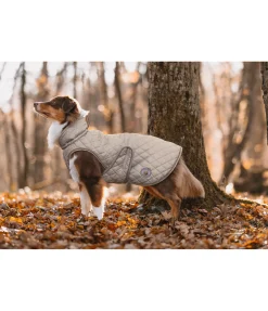 Manteau avec doublure en polaire Teddy pour chien Archie, 160 g