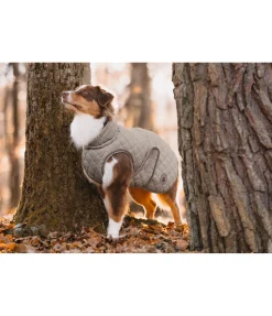 Manteau avec doublure en polaire Teddy pour chien Archie, 160 g