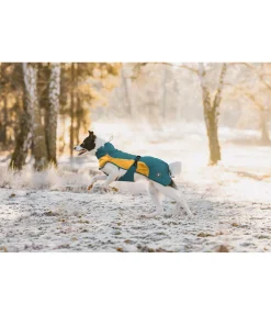 Manteau de pluie léger pour chien Alma, 0 g