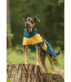 Manteau de pluie léger pour chien Alma, 0 g