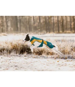 Manteau de pluie léger pour chien Alma, 0 g