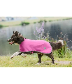 Manteau de pluie pour chien Thousand Islands, 0 g