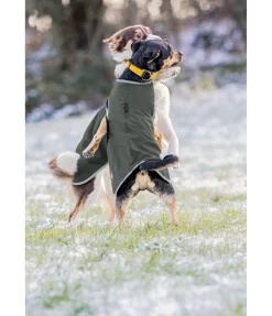 Manteau de randonnée softshell pour chien Athlete, 0 g