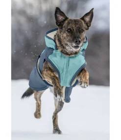 Manteau d'hiver pour chien avec doublure en polaire Teddy, 100 g Glacier Bay