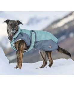 Manteau d'hiver pour chien avec doublure en polaire Teddy, 100 g Glacier Bay