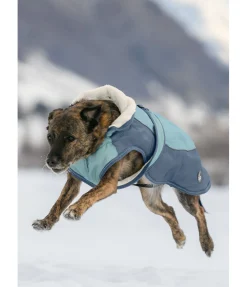 Manteau d'hiver pour chien avec doublure en polaire Teddy, 100 g Glacier Bay