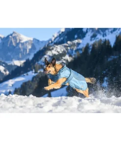 Manteau d'hiver pour chien avec doublure en polaire Teddy, 100 g Glacier Bay