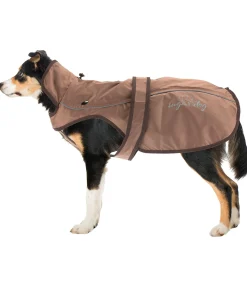 Manteau pour chien 2 en 1 Ally