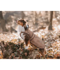 Manteau pour chien 2 en 1 Ally