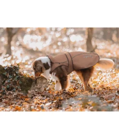 Manteau pour chien 2 en 1 Ally