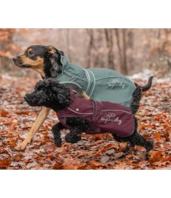Manteau pour chien 2 en 1 Ally