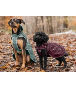 Manteau pour chien 2 en 1 Ally