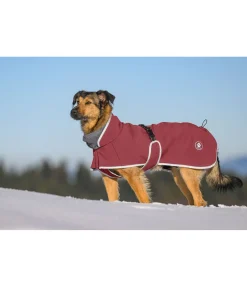 Manteau pour chien softshell avec col polaire Frida