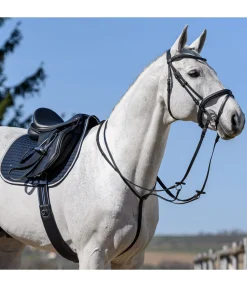 Martingale à anneaux