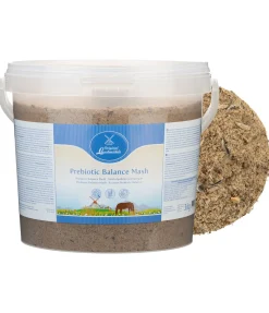 Mash équilibre prébiotique