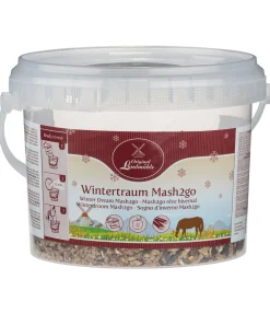 Mash2go Rêve hivernal