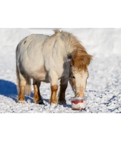 Mash2go Rêve hivernal