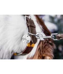 Médaille Travel Buddy