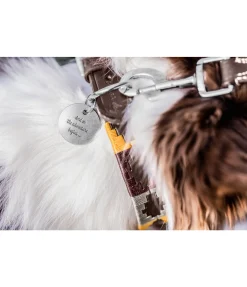 Médaille Travel Buddy