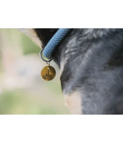 Médaille Travel Buddy