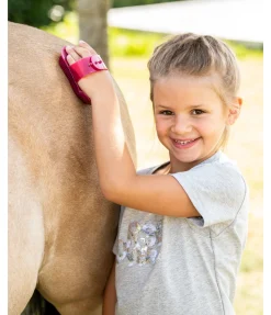 Mini étrille à petits picots