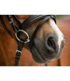 Mors de filet pour bride