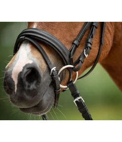 Mors de filet pour bride