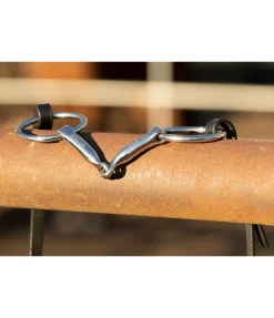 Mors simple brisure pour islandais