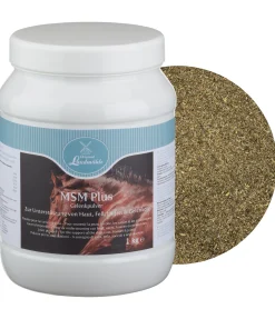 MSM Plus