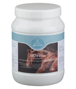 MSM Plus