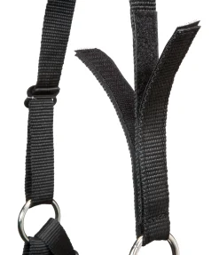 Muselière Ferdinand